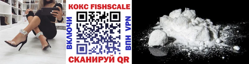 Cocaine Fish Scale  ссылка на мегу зеркало  Бахчисарай  сколько стоит 
